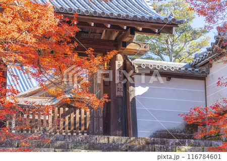 秋の京都　曼殊院　紅葉に包まれた勅使門 116784601