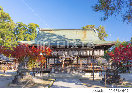 秋の京都 紅葉が美しい今宮神社 拝殿と本殿 秋の京都 紅葉が美しい今宮神社 拝殿と本殿 116784607