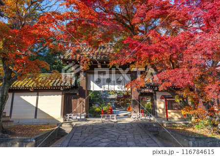 秋の京都　紅葉に包まれた今宮神社の東門 116784615