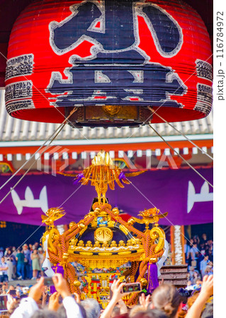 金色の神輿と人波（三社祭） 116784972