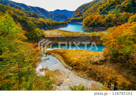 奥四万の紅葉 116785101