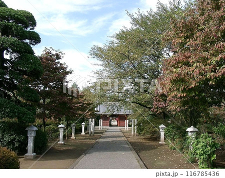 国指定史跡 新田荘遺跡(境内) ｢明王院(2010.10.17)｣ 真言宗豊山派の寺院 春は参道に桜 116785436