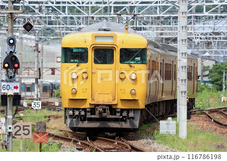 【JR西日本】115系3000番台(山陽本線:新山口駅) 【JR西日本】115系3000番台(山陽本線:新山口駅) 116786198