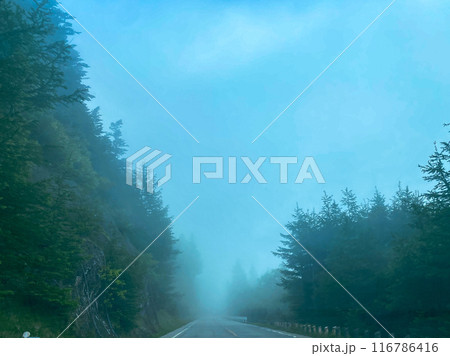 霧に包まれた道路 116786416