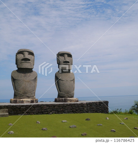 宮崎のモアイ像 116786425