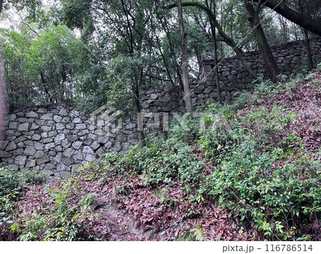松山城へ続く道 松山城へ続く道 116786514