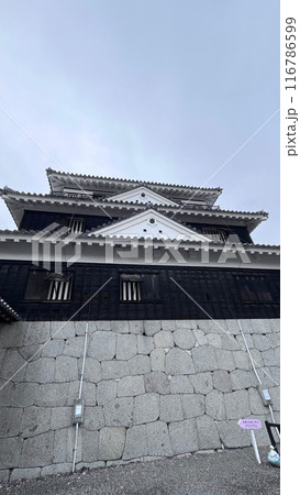見上げる松山城 見上げる松山城 116786599