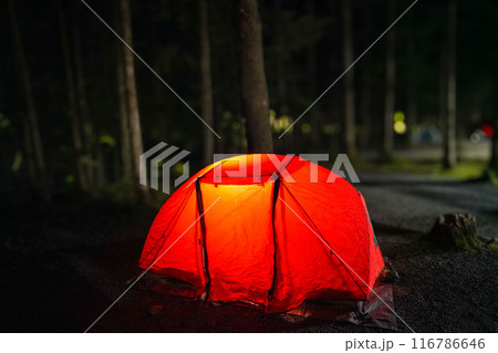 キャンプ場で張った明かりの灯ったテント 116786646