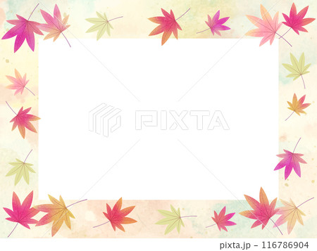 紅葉のフレームイラスト 116786904
