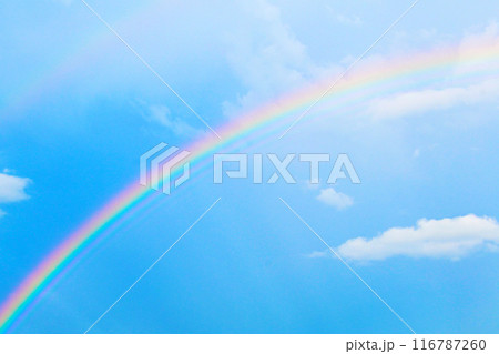 雨上がりの空に現れた綺麗な虹 雨上がりの空に現れた綺麗な虹 116787260