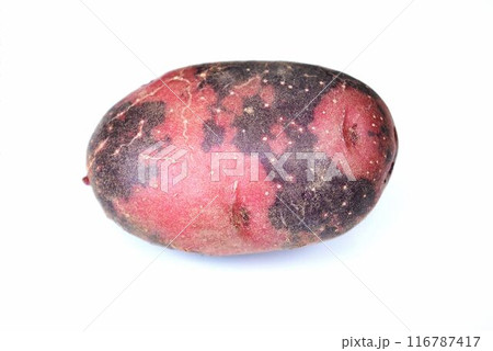 白背景にズームアップしたカラフルなじゃがいも 白背景にズームアップしたカラフルなじゃがいも 116787417