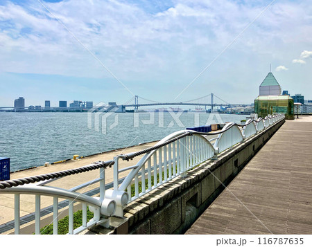 東京湾_竹芝客船ターミナル_ボードウォークから眺める東京湾_お台場レインボーブリッジ方面 116787635