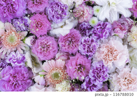 水に浮かぶ色鮮やかな花　花手水 116788010