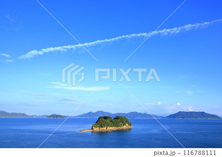 島のある瀬戸内風景 116788111