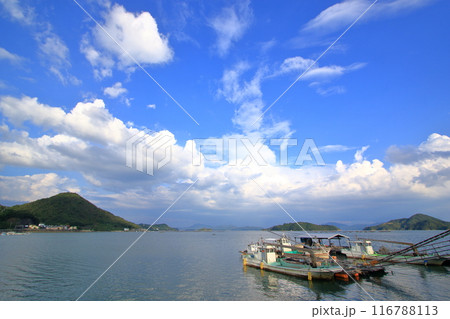 夏の瀬戸内風景 116788113