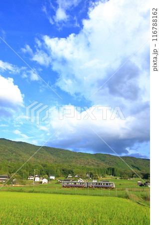 秋らしくなった里山とローカル線 秋らしくなった里山とローカル線 116788162