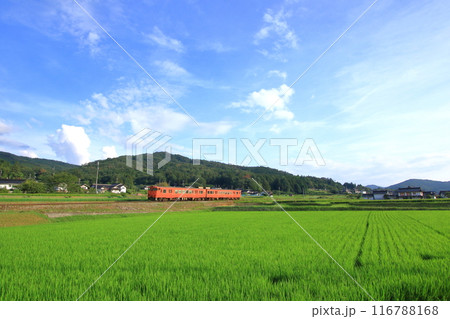 清々しい空の下 列車が走る 116788168