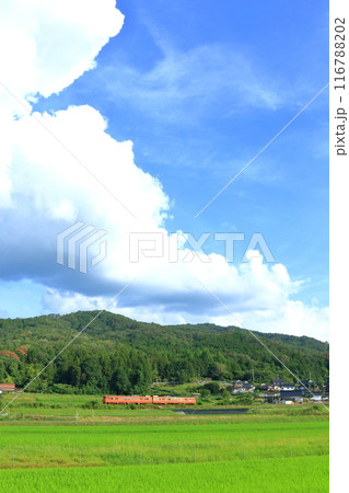 田園風景の中をゆく列車 116788202