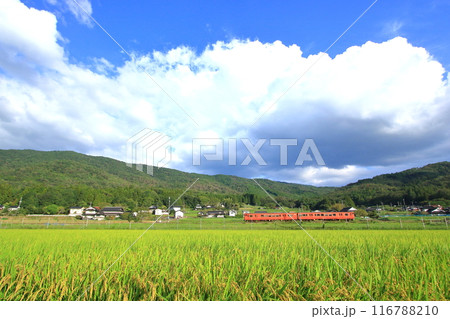 田園風景の中をゆく列車 田園風景の中をゆく列車 116788210