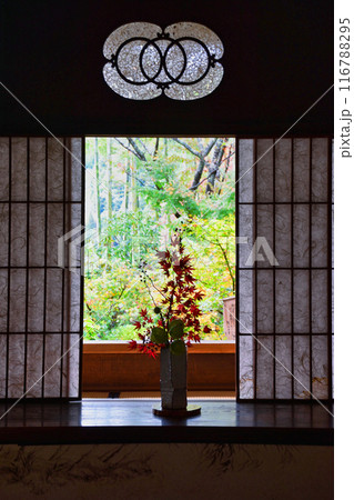 大原　宝泉院　美しい秋の風景（京都市左京区） 116788295