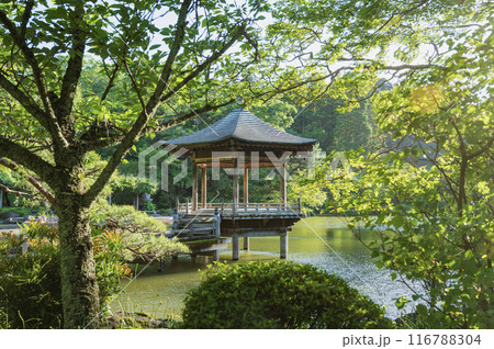 千葉 成田山公園 千葉 成田山公園 116788304