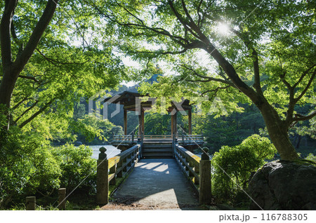 千葉　成田山公園 116788305