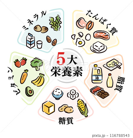 五代栄養素 五代栄養素 116788543