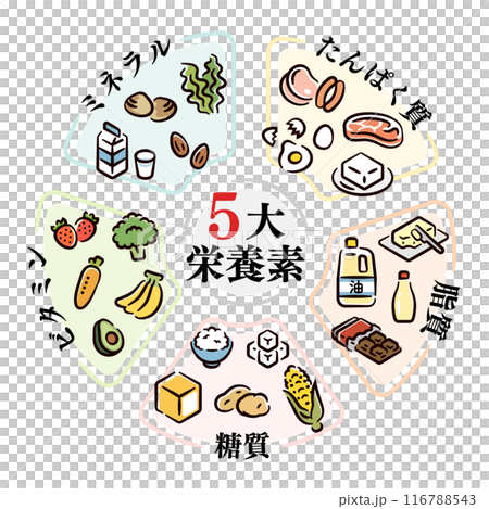 五代栄養素 五代栄養素 116788543