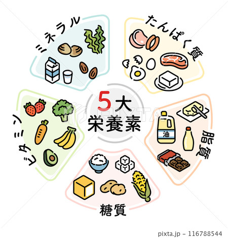 五代栄養素 116788544