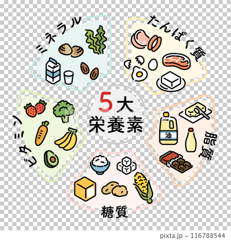 五代栄養素 116788544