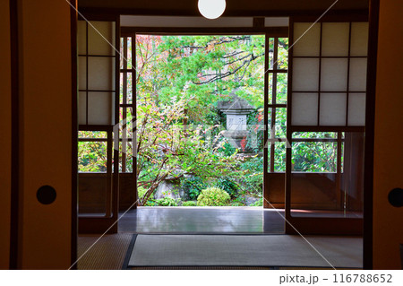 大原　宝泉院　美しい秋の風景（京都市左京区） 116788652