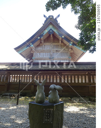 日本 出雲大社の御本殿と白うさぎ神話にちなんだかわいいウサギの石像 116788695