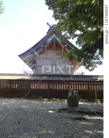 日本 出雲大社の御本殿と白うさぎ神話にちなんだかわいいウサギの石像 116788697