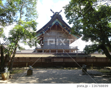日本 出雲大社の御本殿と白うさぎ神話にちなんだかわいいウサギの石像 116788699