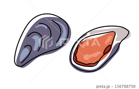 Vector set of hand drawn Mussels Vector set of hand drawn Mussels 116788730