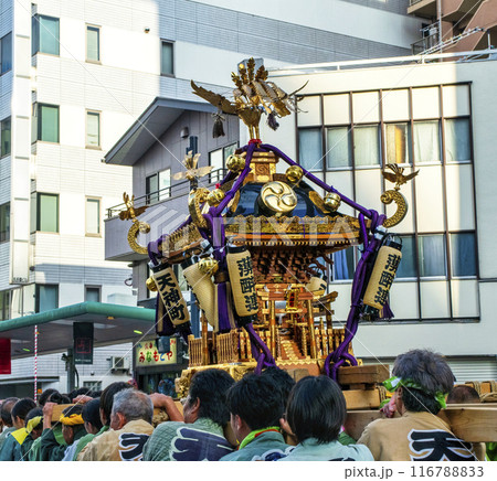 東京都　八王子まつり　下地区・八幡八雲神社　宮神輿渡御 116788833