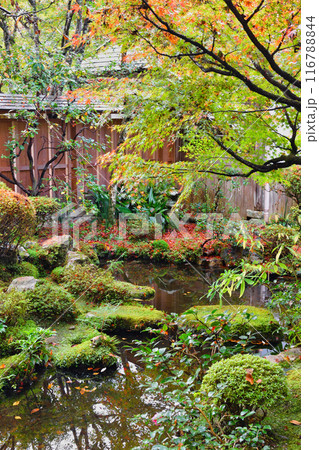 大原　宝泉院　秋の美しい庭園（京都市左京区） 116788844