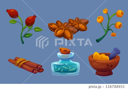 Herbal plant and flower for medicine in bottle 116788931