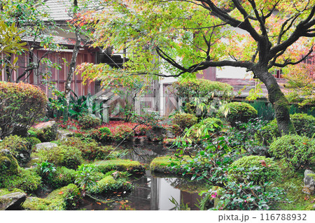 大原　宝泉院　秋の美しい庭園（京都市左京区） 116788932