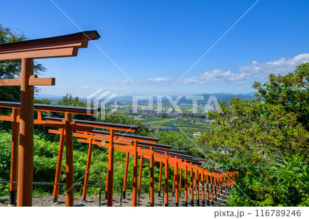 青空を背景に鳥居×92基！ 絶景ビューを楽しめるうきはのパワースポット「浮羽稲荷神社」福岡県うきは市 116789246