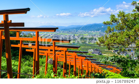 青空を背景に鳥居×92基! 絶景ビューを楽しめるうきはのパワースポット「浮羽稲荷神社」福岡県うきは市 青空を背景に鳥居×92基! 絶景ビューを楽しめるうきはのパワースポット「浮羽稲荷神社」福岡県うきは市 116789247