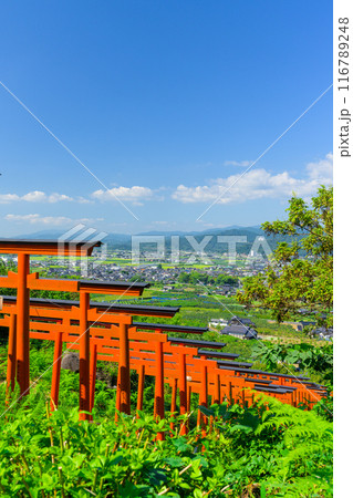 青空を背景に鳥居×92基！ 絶景ビューを楽しめるうきはのパワースポット「浮羽稲荷神社」福岡県うきは市 116789248