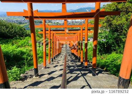 青空を背景に鳥居×92基! 絶景ビューを楽しめるうきはのパワースポット「浮羽稲荷神社」福岡県うきは市 青空を背景に鳥居×92基! 絶景ビューを楽しめるうきはのパワースポット「浮羽稲荷神社」福岡県うきは市 116789252