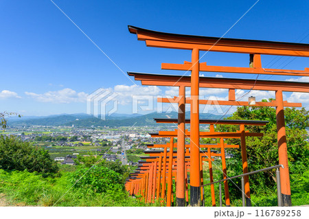 青空を背景に鳥居×92基！ 絶景ビューを楽しめるうきはのパワースポット「浮羽稲荷神社」福岡県うきは市 116789258