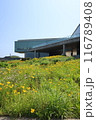 Jeju Glass House Scenery 116789408