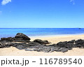希望が丘ビーチ 116789540