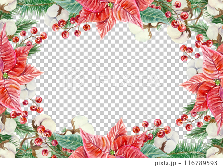 Poinsettia frame, horizontal. Fir branches, cotton, berries. Christmas flowers. Hand drawn watercolor illustration isolated on white. New Year greeting cards, invitations, posters, banners, labels. 116789593
