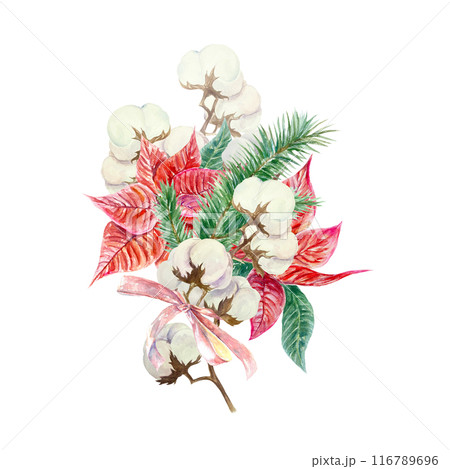 Christmas bouquet. Poinsettia, cotton, fir branches. Hand drawn watercolor illustration isolated on white background. For New Year cards, invitations, banners, covers, posters. Christmas bouquet. Poinsettia, cotton, fir branches. Hand drawn watercolor illustration isolated on white background. For New Year cards, invitations, banners, covers, posters. 116789696