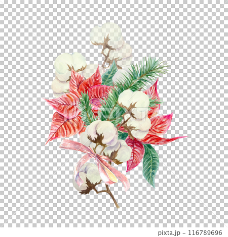 Christmas bouquet. Poinsettia, cotton, fir branches. Hand drawn watercolor illustration isolated on white background. For New Year cards, invitations, banners, covers, posters. Christmas bouquet. Poinsettia, cotton, fir branches. Hand drawn watercolor illustration isolated on white background. For New Year cards, invitations, banners, covers, posters. 116789696