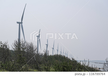 秋田市の海岸線に並ぶ風力発電用風車 116789764